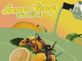 Darkovibes - Inna Song (Gin & Lime) (Feat. King Promise)