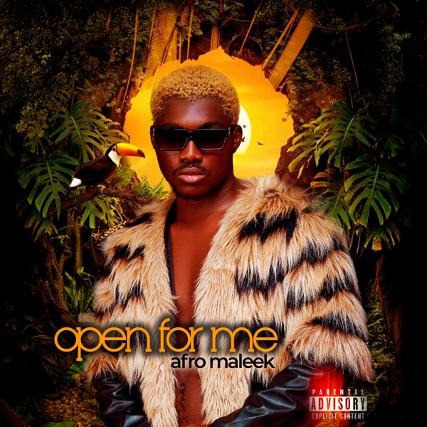 Afro Maleek – Open For Me