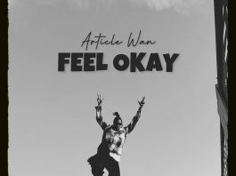 Artilce Wan - FEEL OKAY